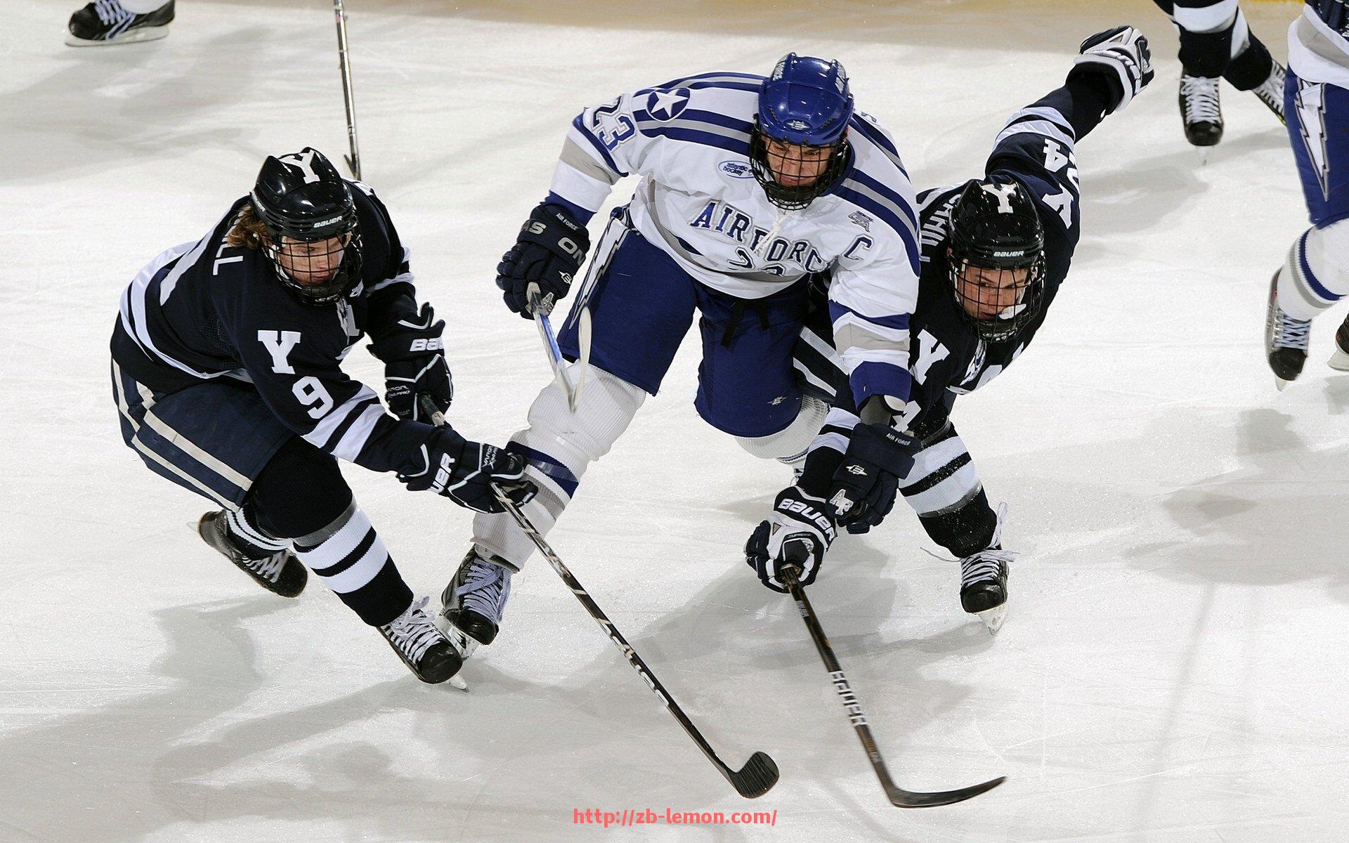柠檬体育直播-用地紧张背景下的应对策略：世俱杯主办城市土地利用研究