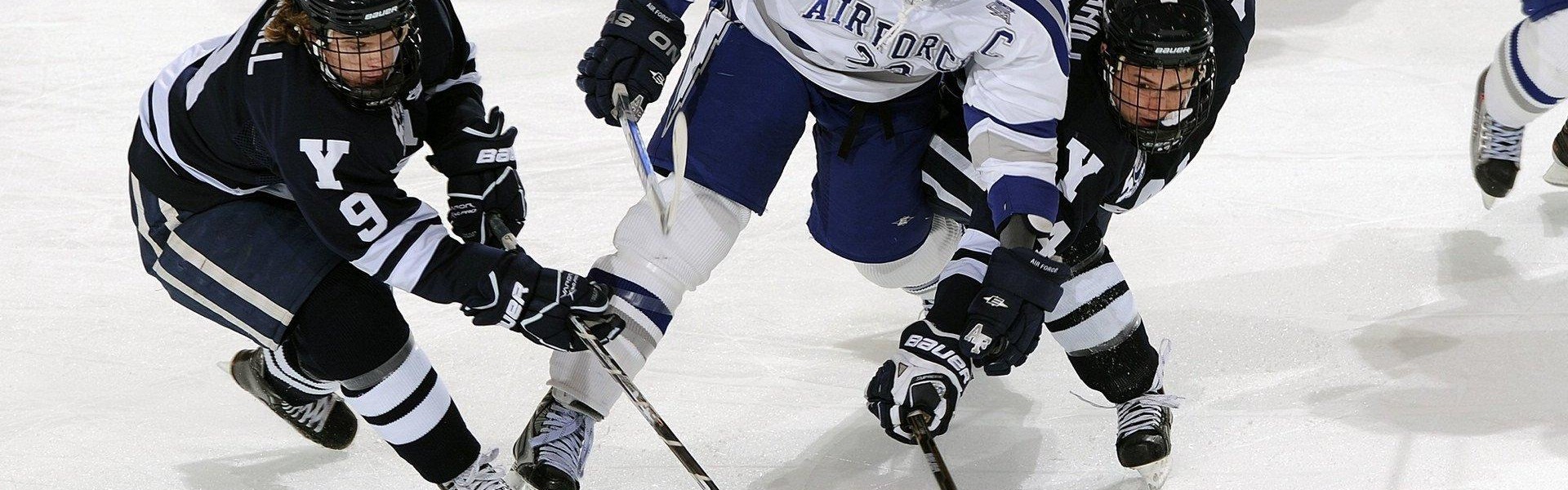 柠檬体育直播-用地紧张背景下的应对策略：世俱杯主办城市土地利用研究